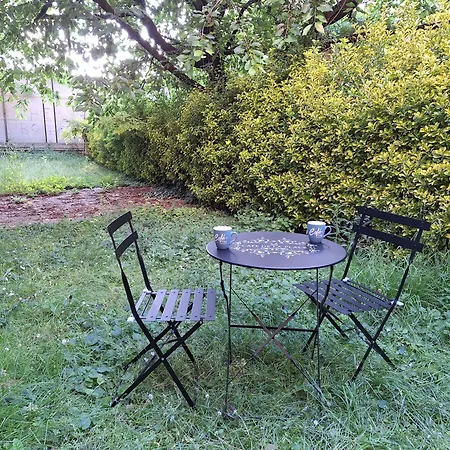 Studio Avec Jardin Privatif, Proche Paris Et Aeroport * Choisy-le-Roi